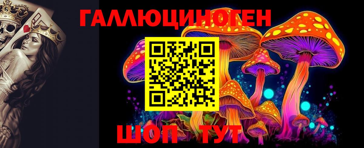 Новотроицк  Псилоцибиновые грибы Magic Shrooms  Вход с VPN 